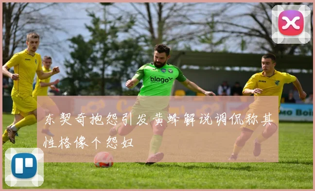 东契奇抱怨引发黄蜂解说调侃称其性格像个怨妇