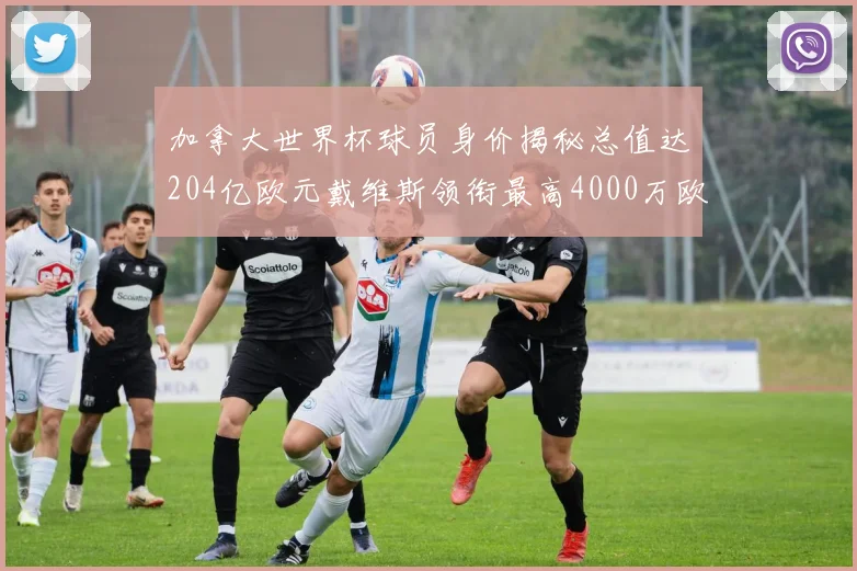 加拿大世界杯球员身价揭秘总值达204亿欧元戴维斯领衔最高4000万欧