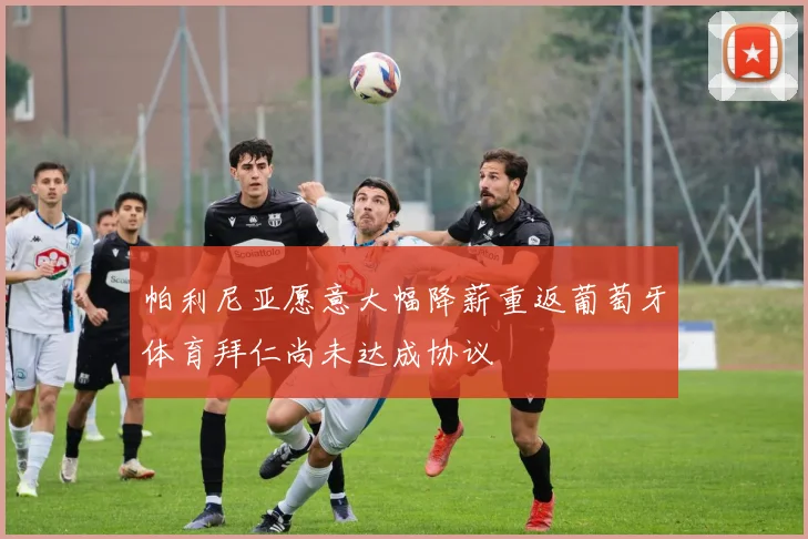 帕利尼亚愿意大幅降薪重返葡萄牙体育拜仁尚未达成协议